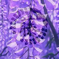 鬼滅の刃 なりきりオプチャ 。
