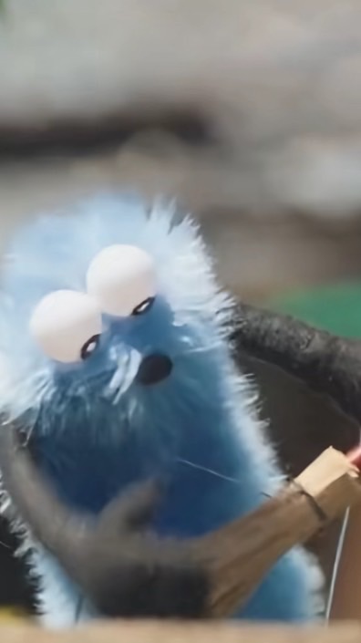 誰でも大歓迎 ⁉️⁉️🚨🚨🚨🚨🚨 全緩也 ❣️❣️❣️