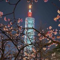 巔峰·RMC
