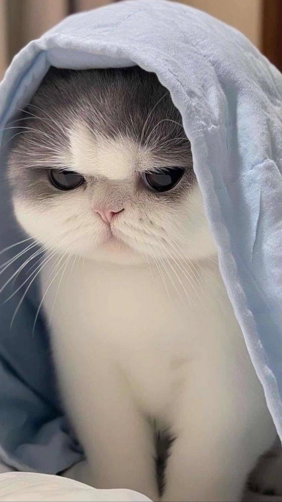 กลุ่มคุยเล่น/คุยเรื่องเกม/คุยเรื่องเรียน/หาเพื่อน