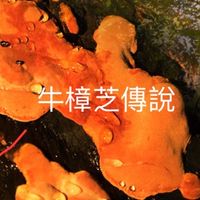 牛樟芝傳說