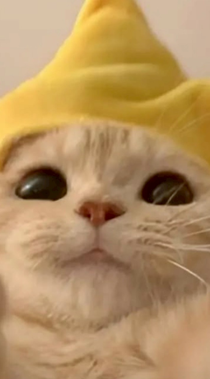 ดูดวงกับน้องหมออาหมวย