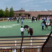 タクロー競馬オプチャ