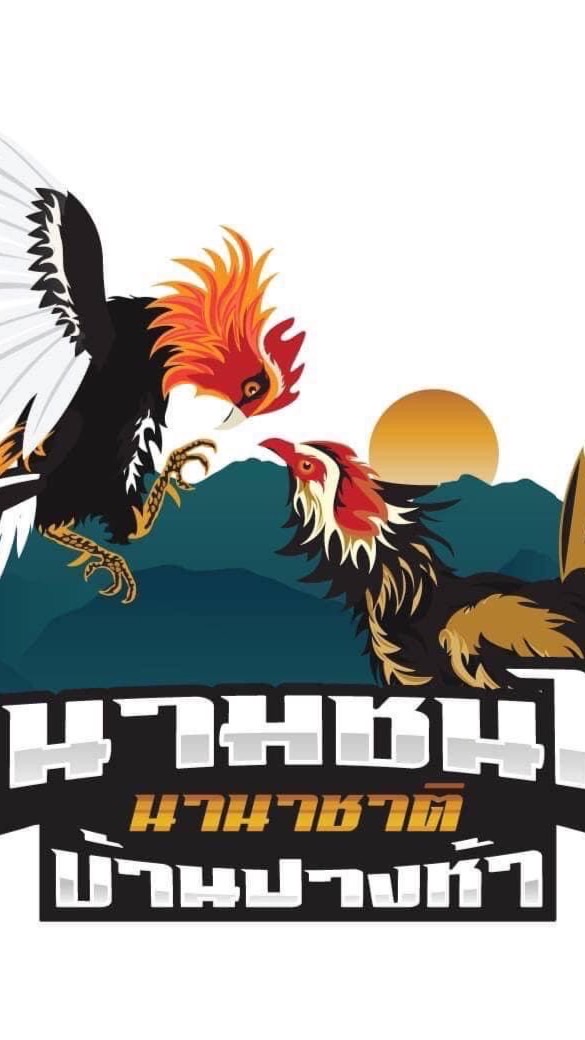 สนามไก่ชนบ้านปางห้าแม่สาย
