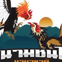 สนามไก่ชนบ้านปางห้าแม่สาย
