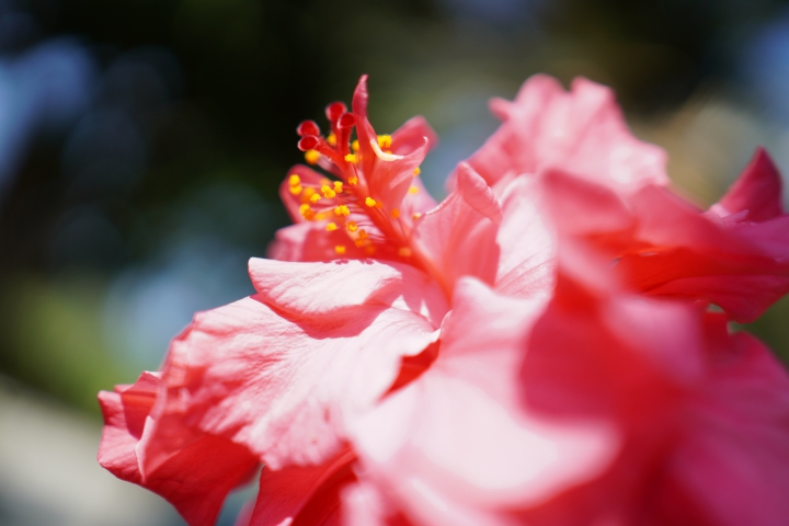 攝錄輕旗艦 Sony A6400 隨身相機動手玩