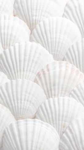 🧣快樂週六工筆日本團購