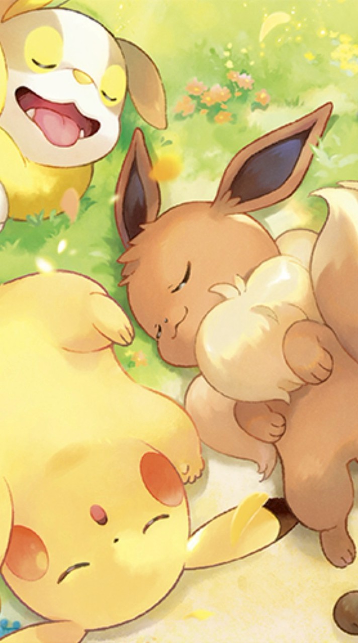 ポケポケ！   大会＆初心者育成部屋