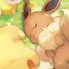 ポケポケ！   大会＆初心者育成部屋