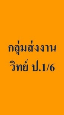 กลุ่มส่งงาน  วิทย์  ป.1/6