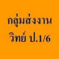 กลุ่มส่งงาน  วิทย์  ป.1/6