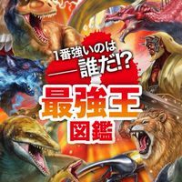 最強王図鑑界隈について語っていくオプチャ！！😆