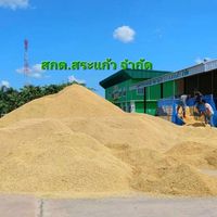 สกต.ลานรวบรวม ขายปุ๋ย-ยา(รับซื้อมันสำปะหลัง&ข้