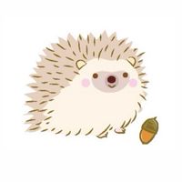 どんぐりのお部屋