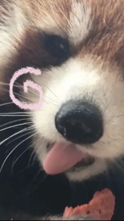 𝗦𝘂𝗰𝗰𝗲𝘀𝘀𝗳𝘂𝗹 𝗰𝗹𝗶𝗽 𝗣𝗶𝗻𝗸𝘆𝗩.𝟮˙Ⱉ˙