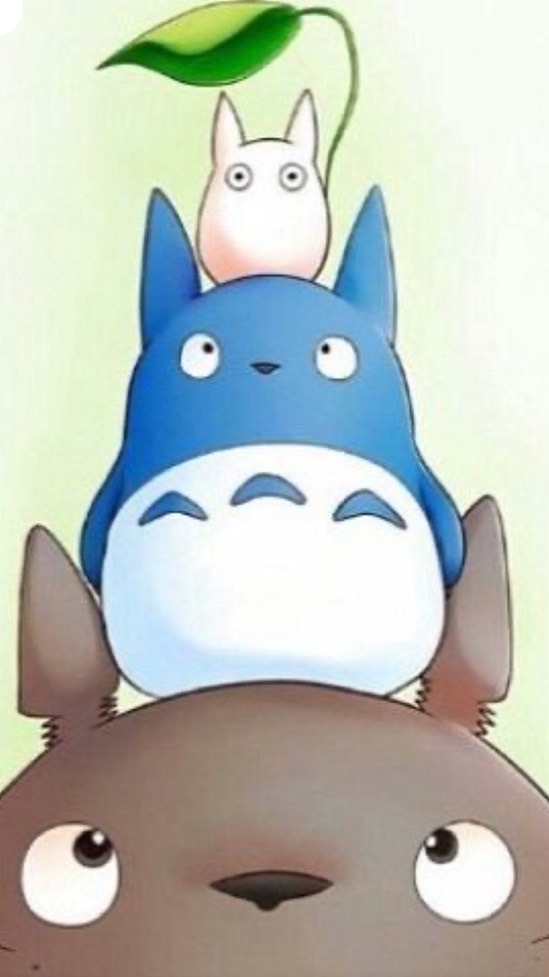 トトロさっちゃん’s