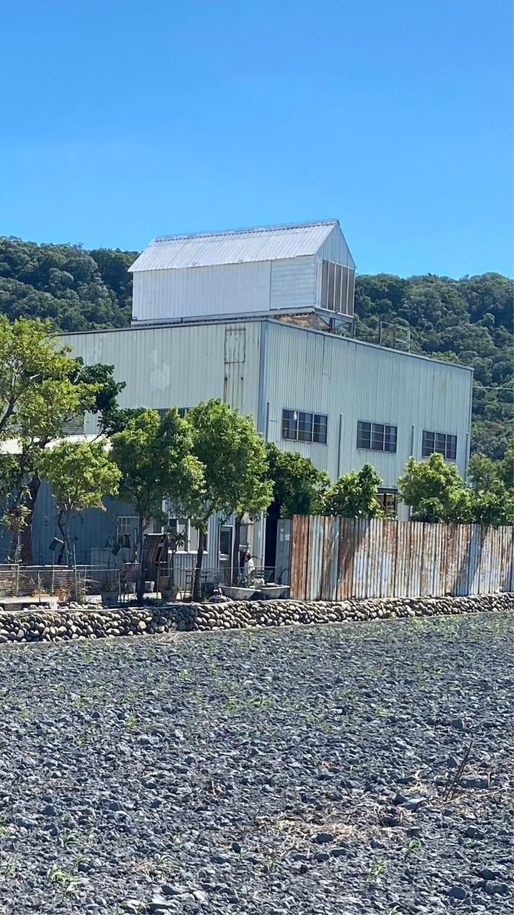 鑫橋頭鴿舍