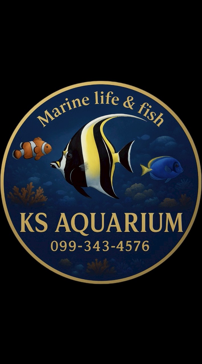 KS Aquarium Marinefish