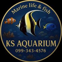 KS Aquarium Marinefish