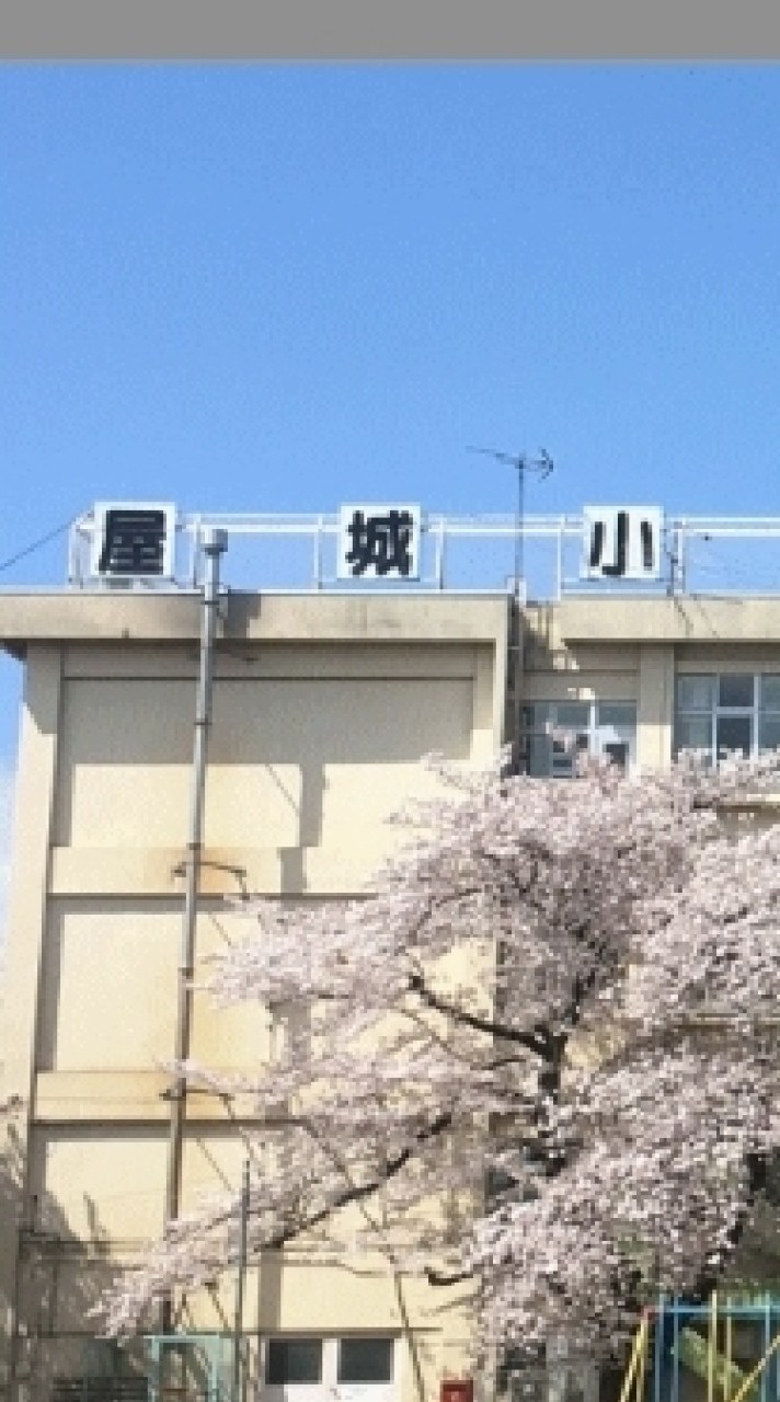 ３支部掲示板