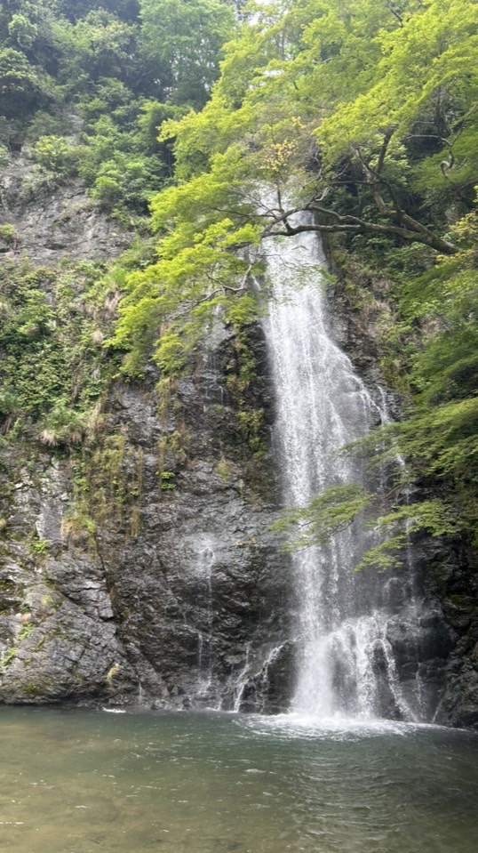 わたしと箕面とゆずる君と…