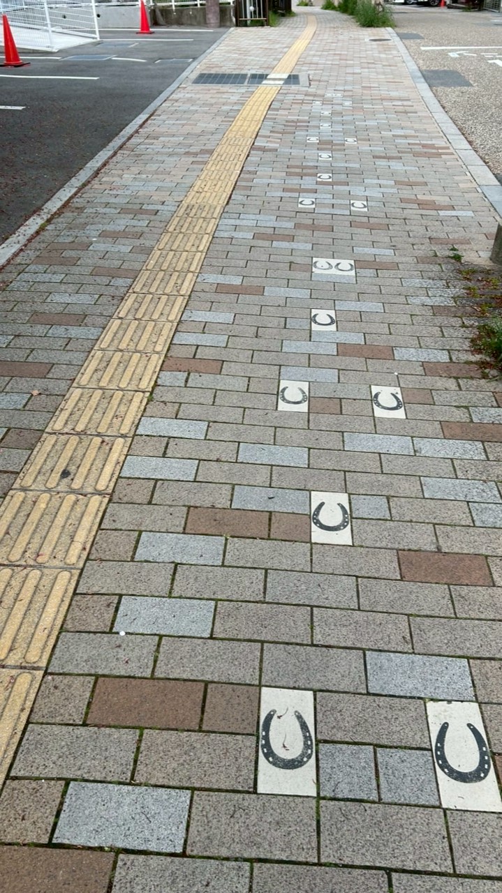 わたしと箕面とゆずる君と…
