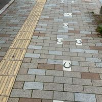わたしと箕面とゆずる君と…
