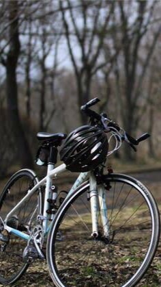 クロスバイク乗り集まってちょ