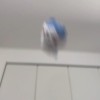 暇人・変人の溜まり場
