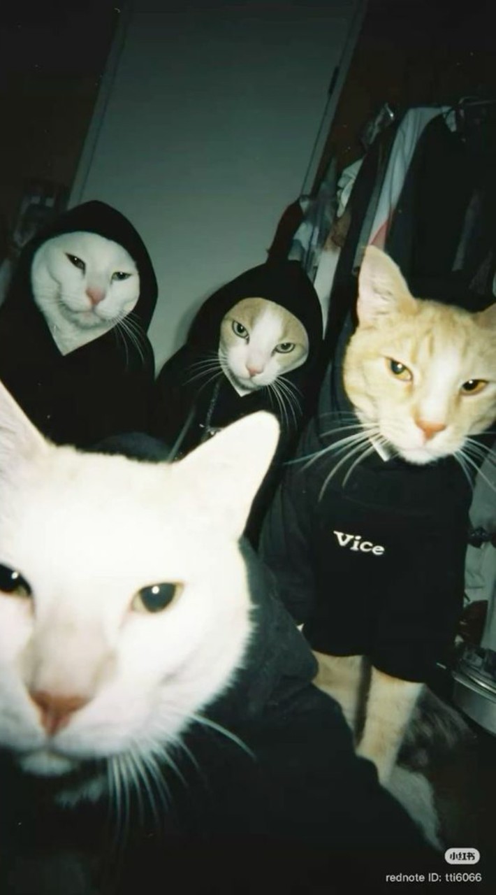 🤪เปิดวาปสปอยแตก🤪