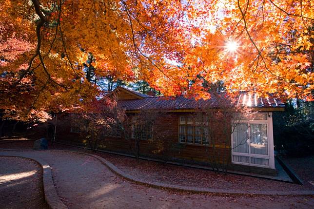 福壽山農場 / 圖片來源：欣傳媒資料庫