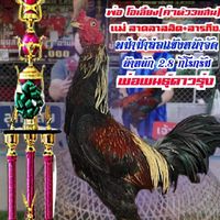 🐓KSD.ฟาร์ม🐓