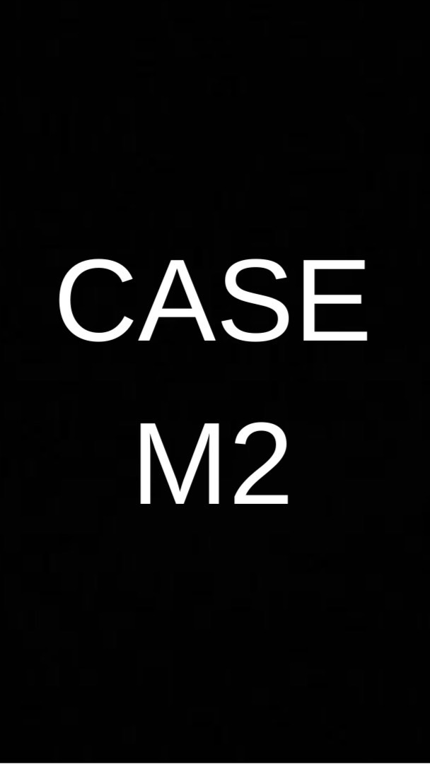 Case M2のオープンチャット