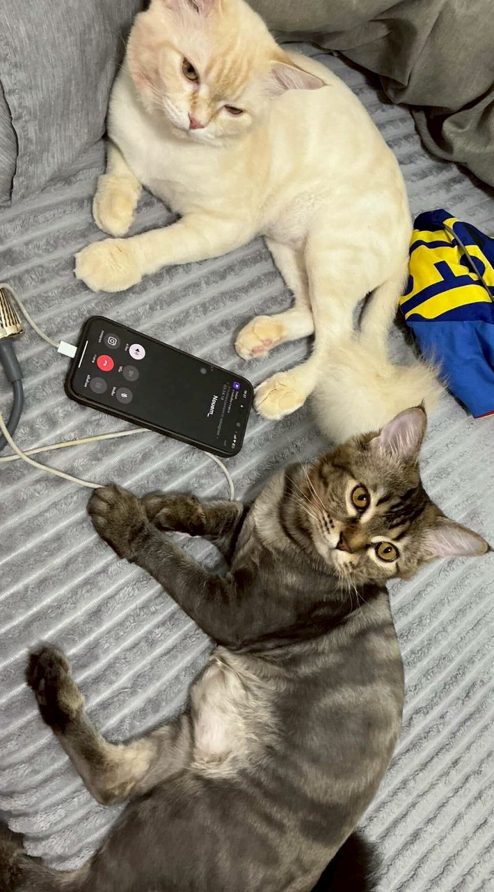 ไม่รู้ยังไม่ได้ตั้งชื่อ