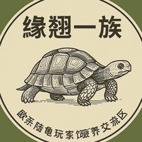 「緣翹一族」歐系陸龜玩家飼養交流區