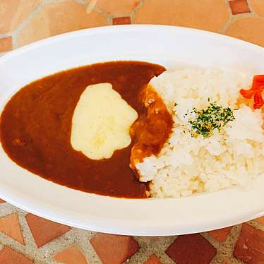 カフェサルターレ 名古屋市博物館店 瑞穂通 桜山駅 カフェ By Line Conomi