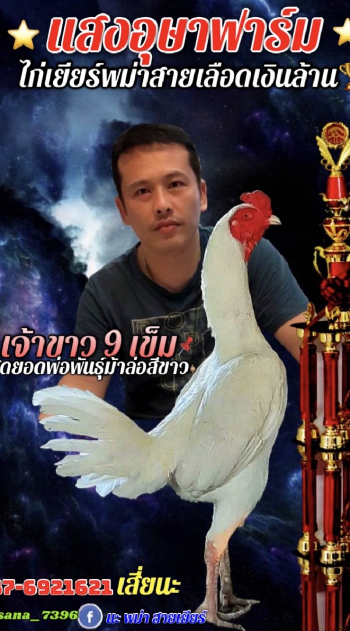 ซุ้มไก่กระสอบ🐎พม่าเยียร์💯
