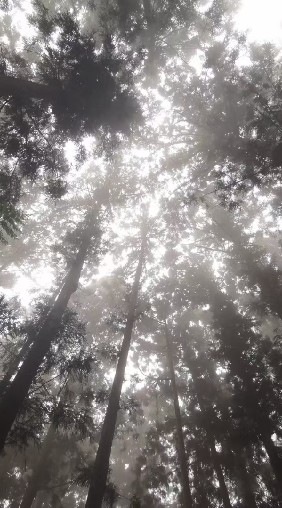 道佛研究社