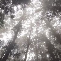 道佛研究社