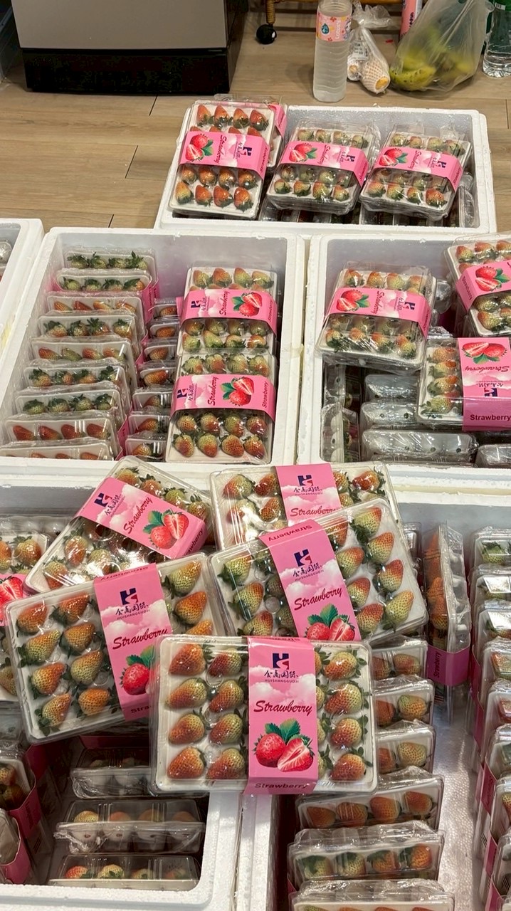 สตรอว์เบอร์รี่ บลูเบอรี่ และผลไม้ต่างประเทศ🫐🍓🍇
