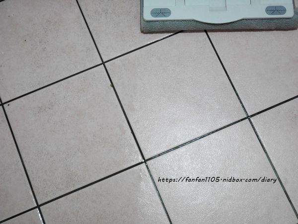 【7Nice、大掃除清潔】#省空間收納式馬桶刷組 #簡約生活擦拭布 #大力士彈力拖把 (36).JPG