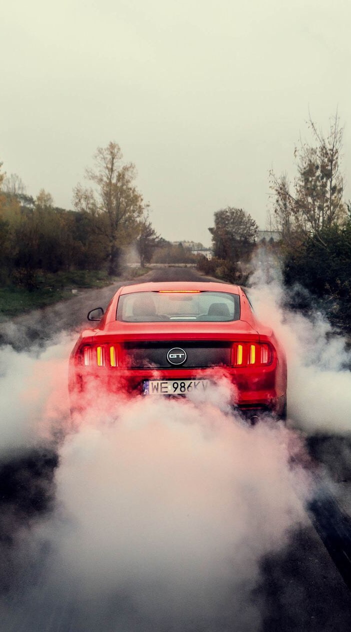 Mustang lover