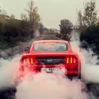 Mustang lover