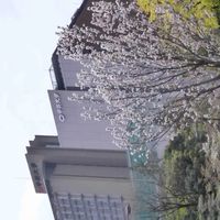 中央大学理系学部　お悩み相談会