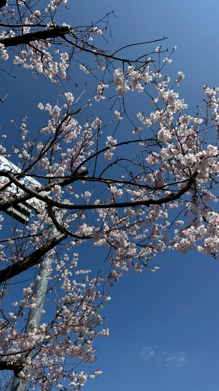 東北04.03