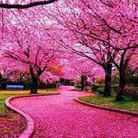 超簡単で、家計も節約して収入にもなる副業紹介所♪莫大な収入になる可能性も❗️副業宣伝OK❗️