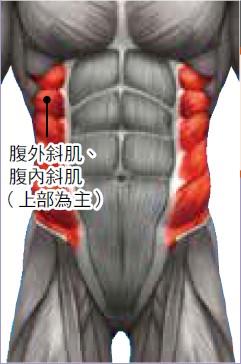 性感人魚線不是夢 側腹 鍛鍊的3個黃金健身動作教學 Line購物