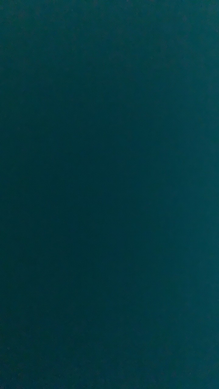 🚗宇泓接送專區🛵