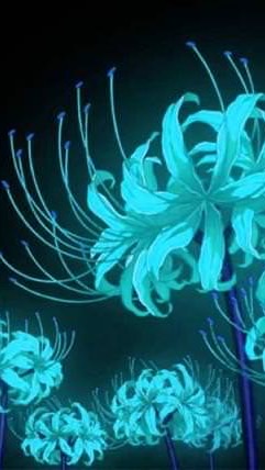 月下彼岸花