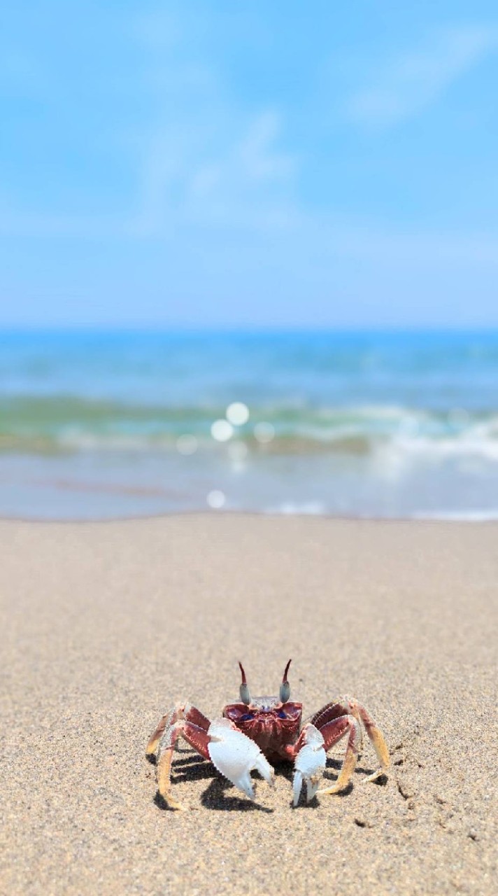 熟齡大酒館